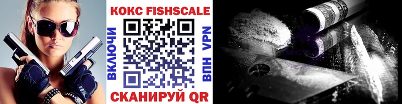 продажа наркотиков  мега tor  дарк нет состав  Долгопрудный  Cocaine Fish Scale 