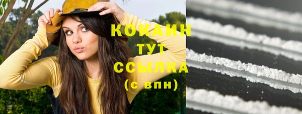 сатива Армянск