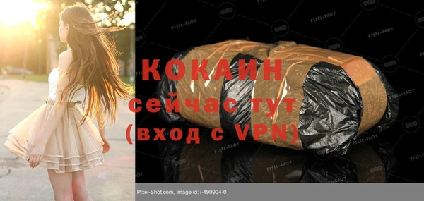 сатива Армянск