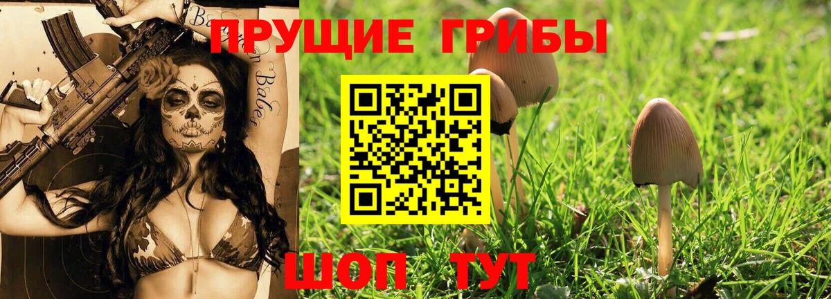 Долгопрудный  Галлюциногенные грибы Psilocybe  Псилоцибиновые грибы мицелий  Вход с VPN 