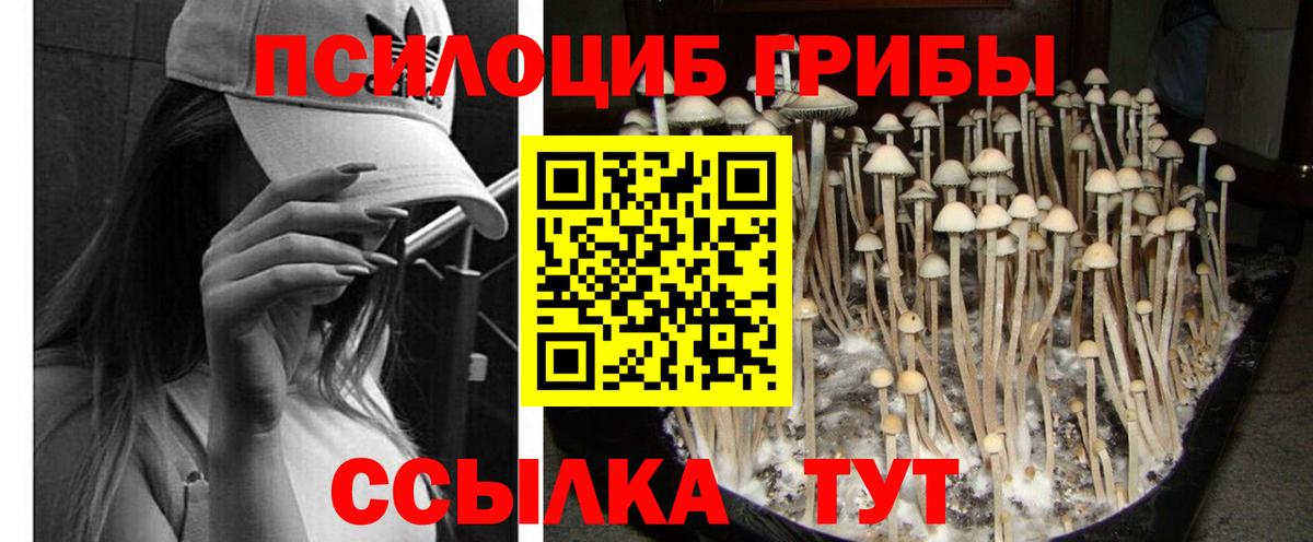 Псилоцибиновые грибы мухоморы Долгопрудный